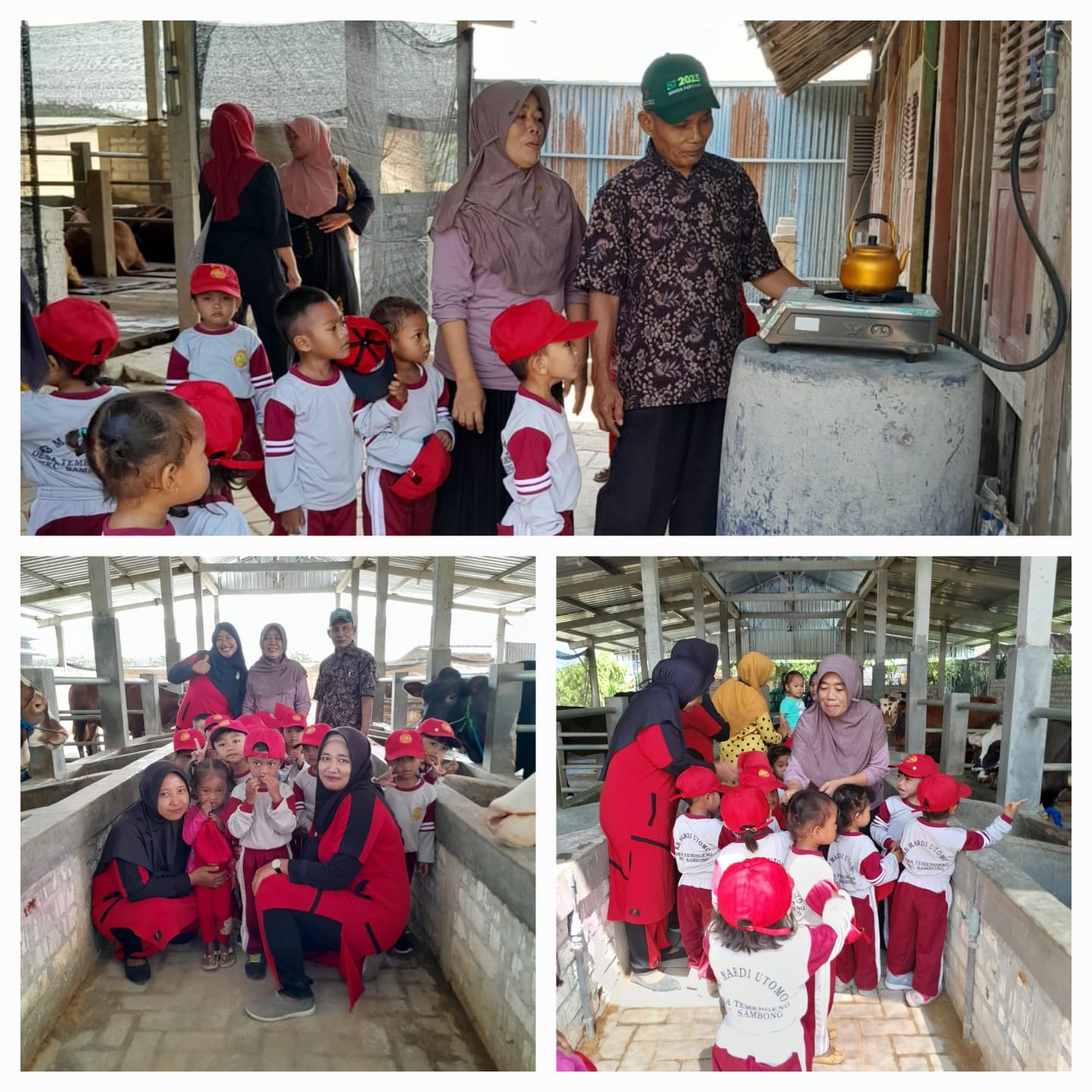 Kunjungan siswa PAUD Mardi Utomo Desa Temengeng Kec. Sambong, Kab. Blora, di lokasi Biogas yang dibangun Cabdin ESDM Kendeng Selatan-Dinas ESDM Prov. Jateng TA. 2023 di lokasi KTT Ngudi Raharjo